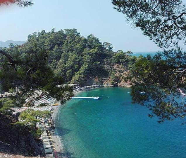 Turtle Apart Aparthotel Fethiye Esterno foto